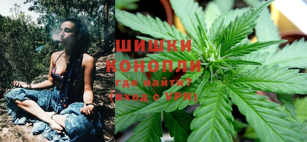 ГАЛЛЮЦИНОГЕННЫЕ ГРИБЫ Баксан