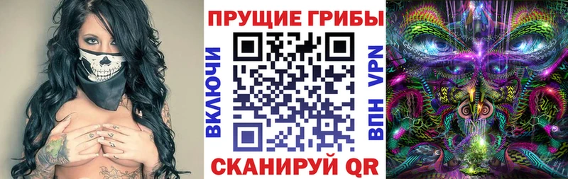 Псилоцибиновые грибы Psilocybe  закладка  Гаврилов-Ям 